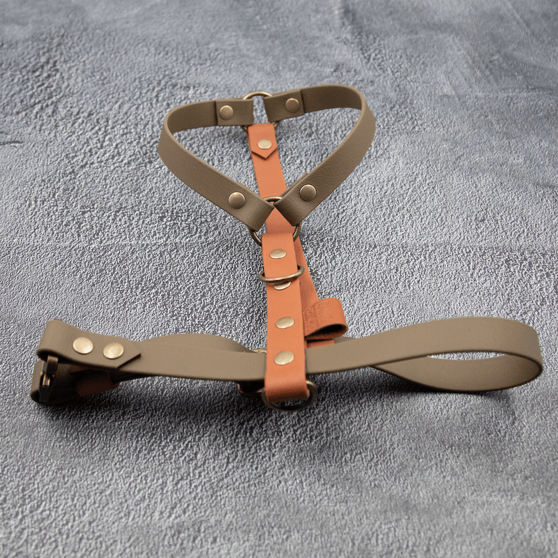 Comfort Y-Sele til hund - HipsterHound